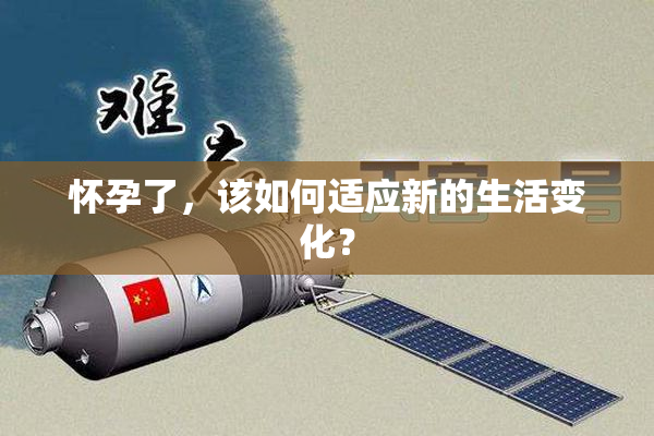 怀孕了，该如何适应新的生活变化？