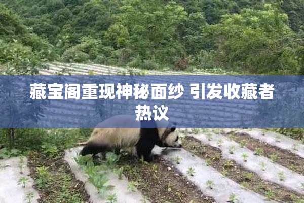 藏宝阁重现神秘面纱 引发收藏者热议