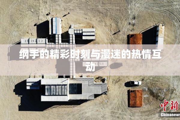 纲手的精彩时刻与漫迷的热情互动