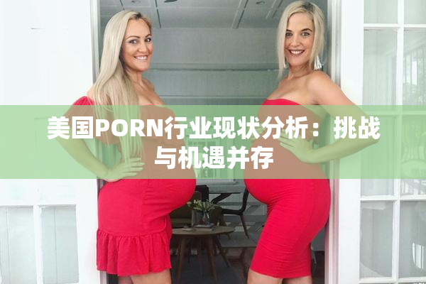 美国PORN行业现状分析：挑战与机遇并存