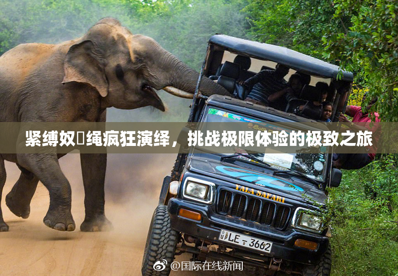 紧缚奴隷绳疯狂演绎，挑战极限体验的极致之旅