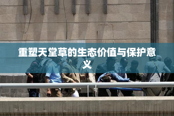重塑天堂草的生态价值与保护意义