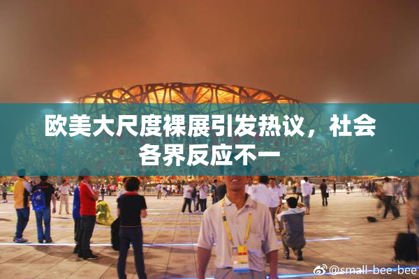 欧美大尺度裸展引发热议，社会各界反应不一