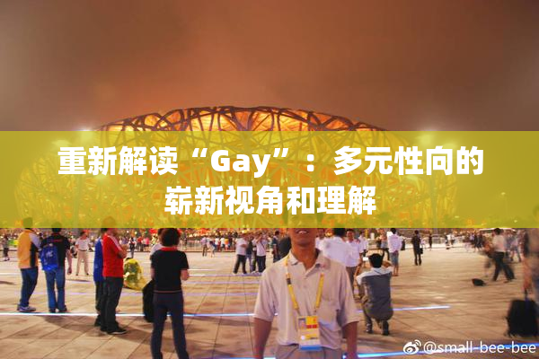 重新解读“Gay”：多元性向的崭新视角和理解
