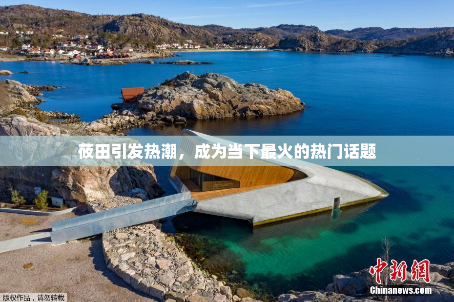 莜田引发热潮，成为当下最火的热门话题