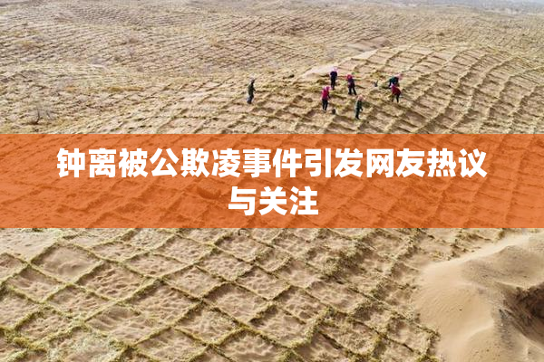 钟离被公欺凌事件引发网友热议与关注