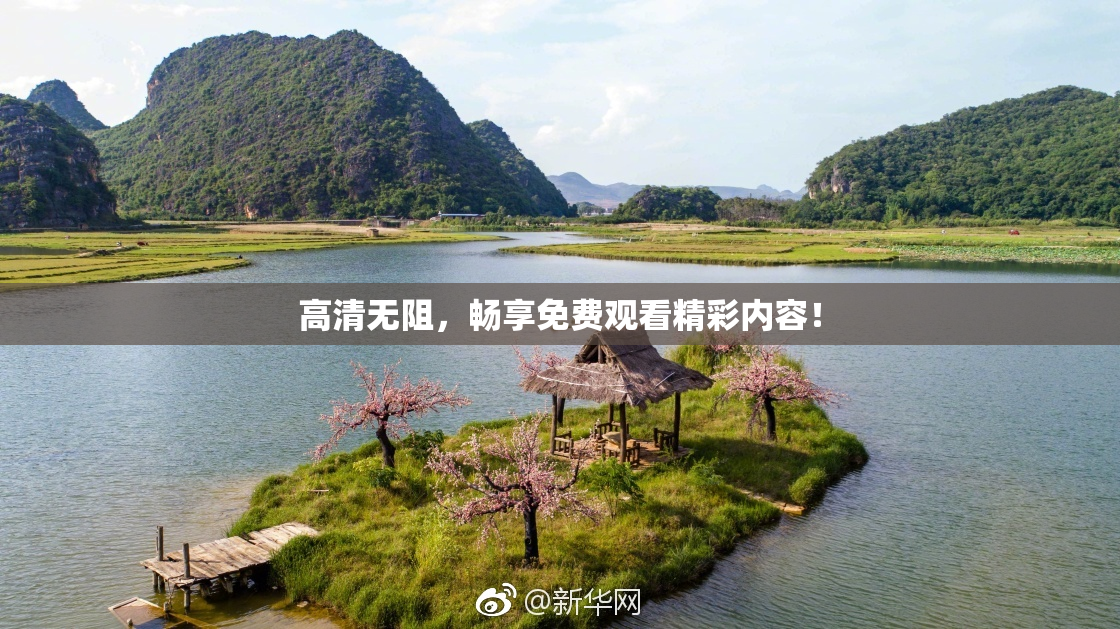 高清无阻，畅享免费观看精彩内容！