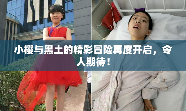 小樱与黑土的精彩冒险再度开启，令人期待！