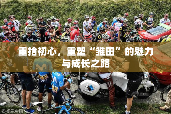重拾初心，重塑“雏田”的魅力与成长之路
