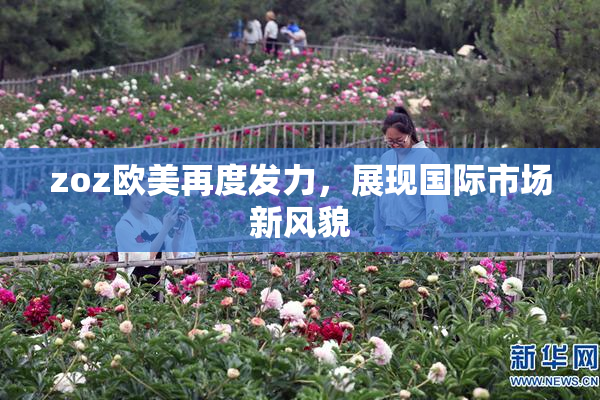 zoz欧美再度发力，展现国际市场新风貌