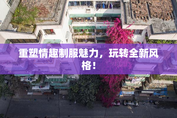 重塑情趣制服魅力，玩转全新风格！