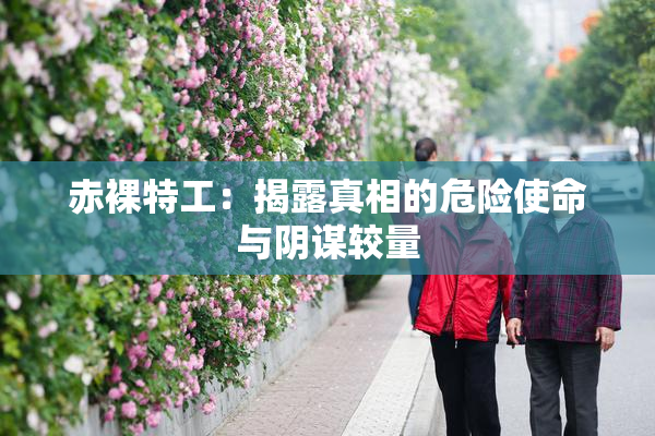 赤裸特工：揭露真相的危险使命与阴谋较量
