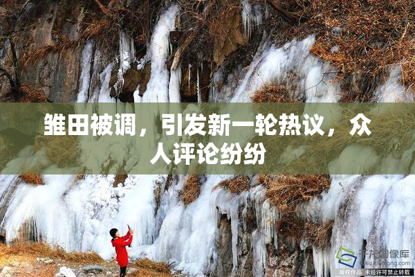 雏田被调，引发新一轮热议，众人评论纷纷