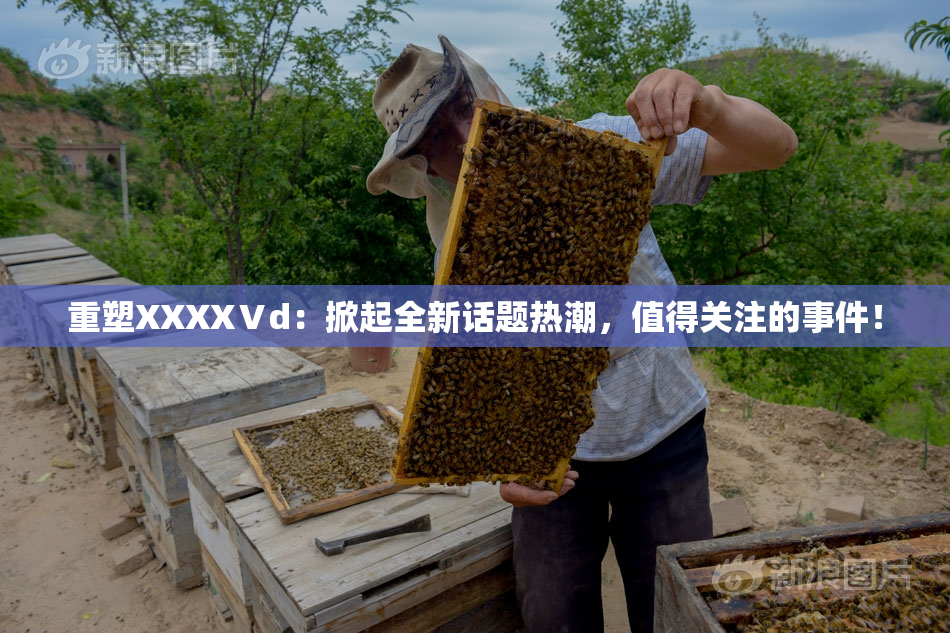 重塑XXXXⅤd：掀起全新话题热潮，值得关注的事件！