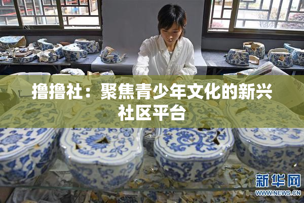 撸撸社：聚焦青少年文化的新兴社区平台
