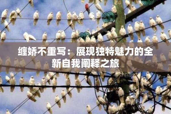 缠娇不重写：展现独特魅力的全新自我阐释之旅