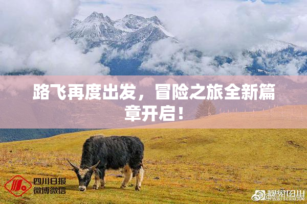 路飞再度出发，冒险之旅全新篇章开启！