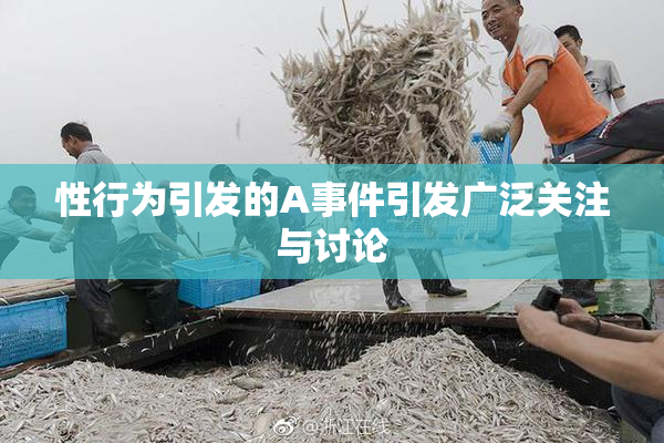 性行为引发的A事件引发广泛关注与讨论