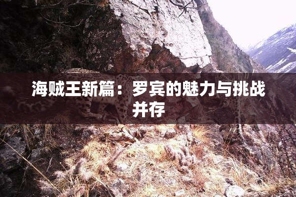 海贼王新篇：罗宾的魅力与挑战并存