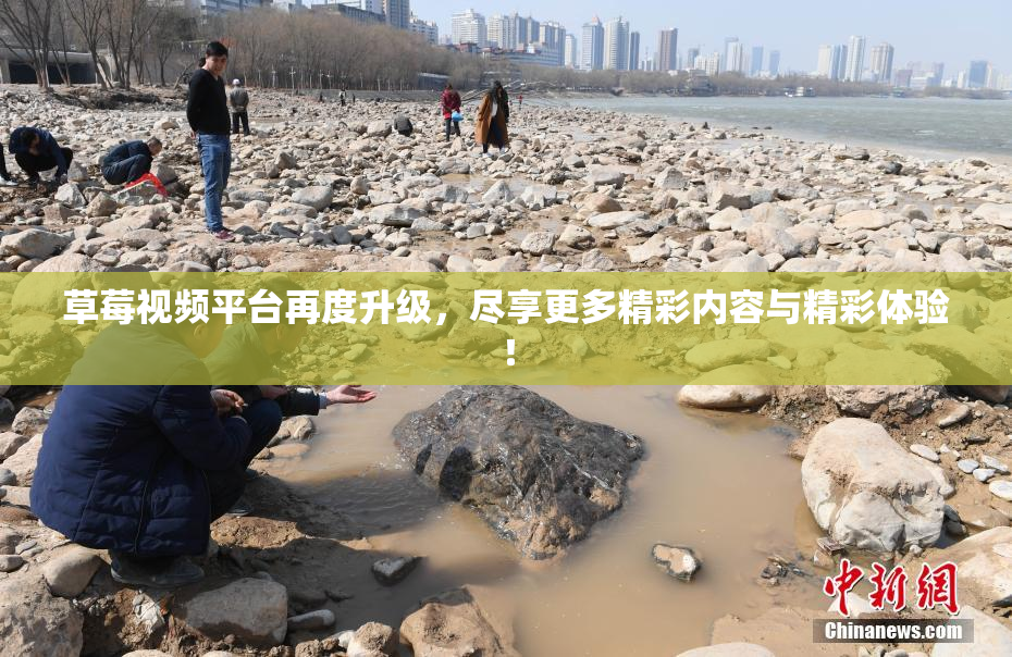 草莓视频平台再度升级，尽享更多精彩内容与精彩体验！