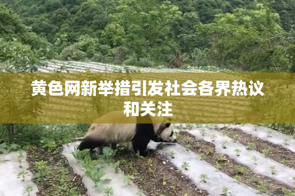 黄色网新举措引发社会各界热议和关注