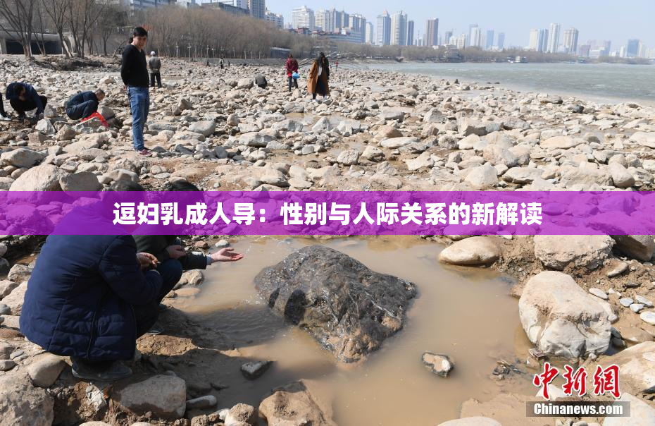 逗妇乳成人导：性别与人际关系的新解读