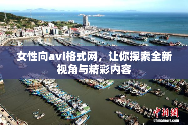 女性向avi格式网，让你探索全新视角与精彩内容