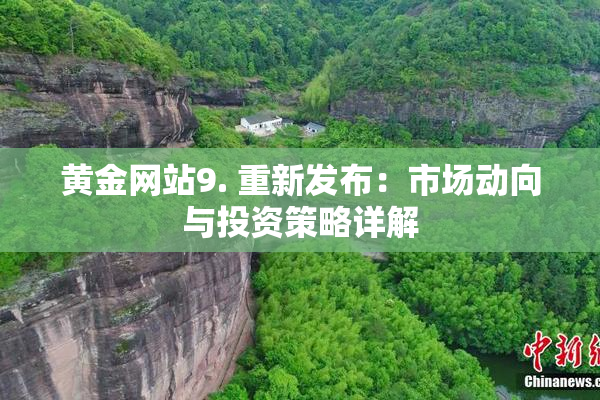 黄金网站9. 重新发布：市场动向与投资策略详解