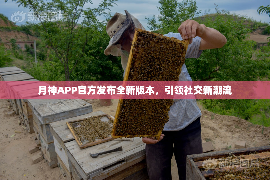 月神APP官方发布全新版本，引领社交新潮流