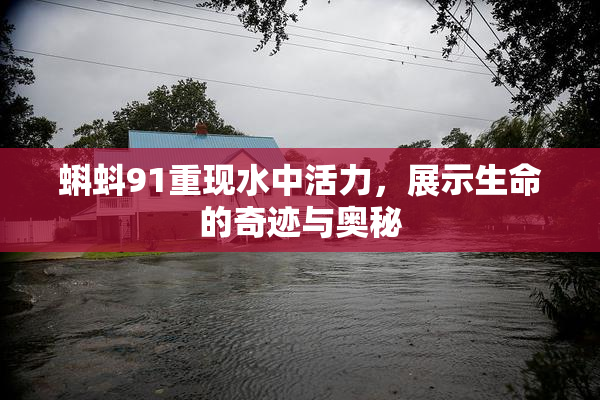 蝌蚪91重现水中活力，展示生命的奇迹与奥秘