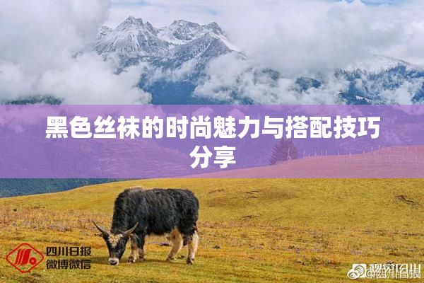黑色丝袜的时尚魅力与搭配技巧分享