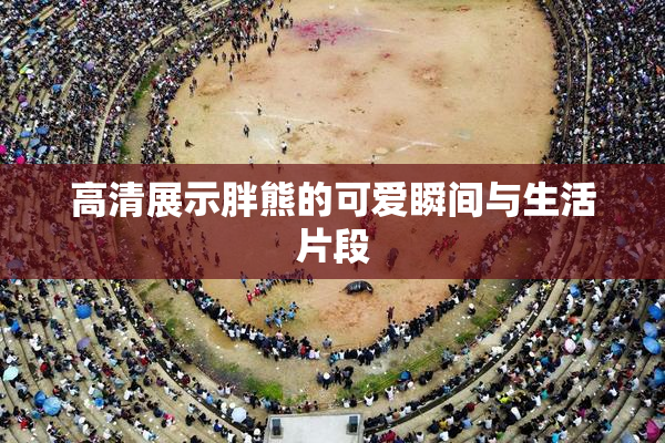 高清展示胖熊的可爱瞬间与生活片段