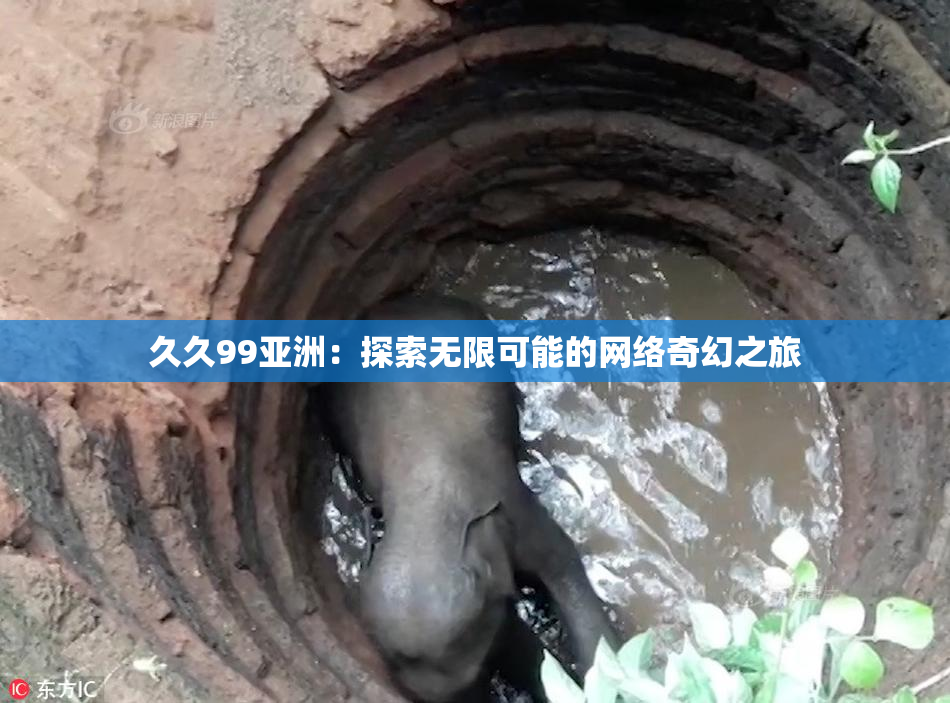 久久99亚洲：探索无限可能的网络奇幻之旅