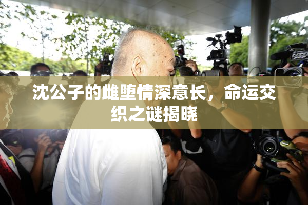 沈公子的雌堕情深意长，命运交织之谜揭晓