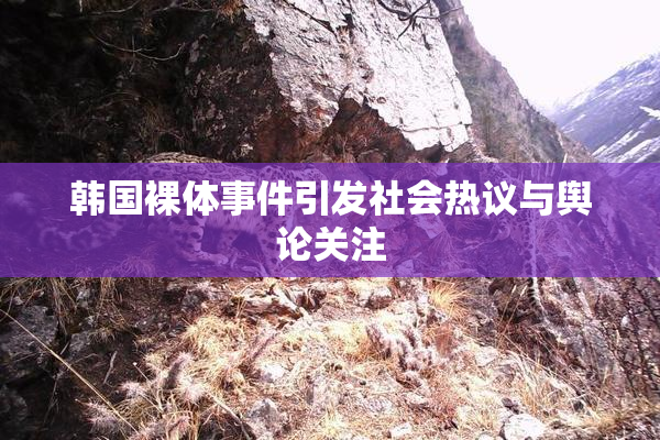 韩国裸体事件引发社会热议与舆论关注