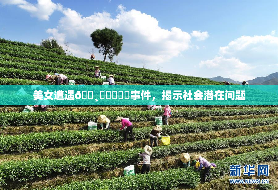 美女遭遇🌸‌❌‌❌‌事件，揭示社会潜在问题