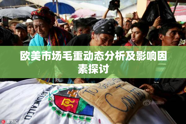 欧美市场毛重动态分析及影响因素探讨