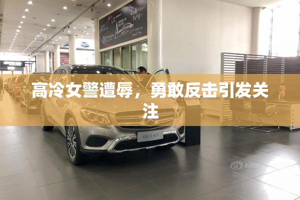 高冷女警遭辱，勇敢反击引发关注