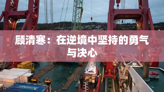 顾清寒：在逆境中坚持的勇气与决心
