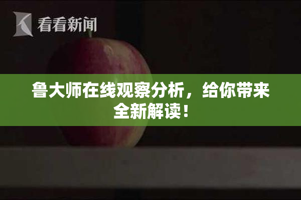 鲁大师在线观察分析，给你带来全新解读！