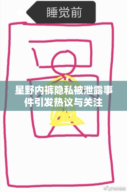 星野内裤隐私被泄露事件引发热议与关注