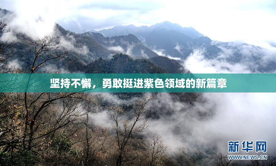 坚持不懈，勇敢挺进紫色领域的新篇章