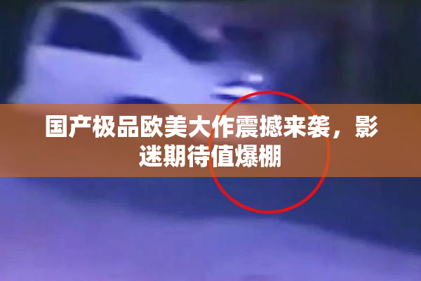 国产极品欧美大作震撼来袭，影迷期待值爆棚