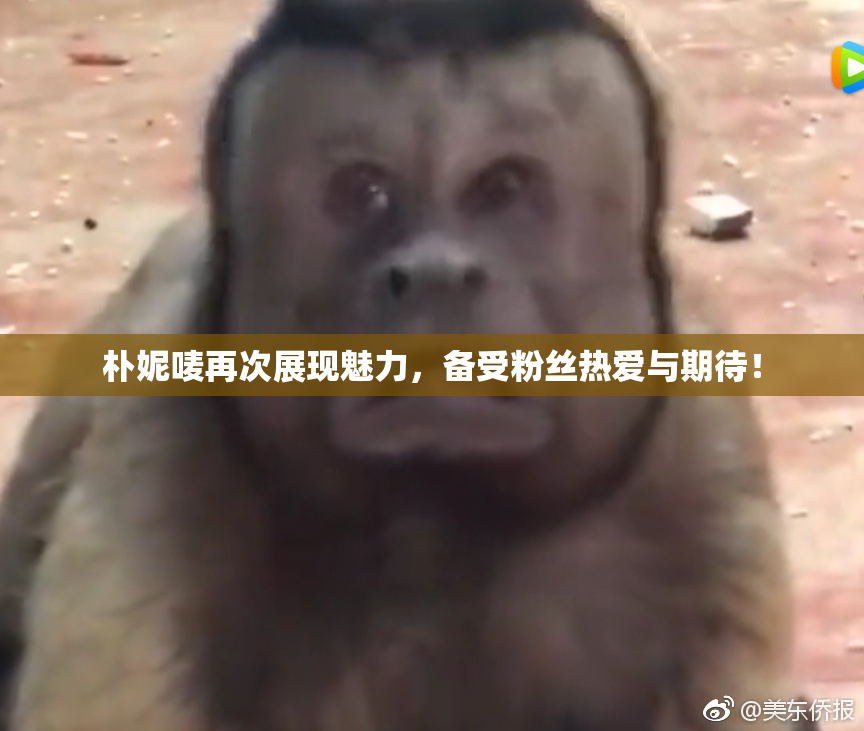 朴妮唛再次展现魅力，备受粉丝热爱与期待！