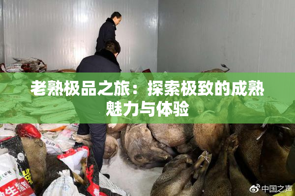 老熟极品之旅：探索极致的成熟魅力与体验