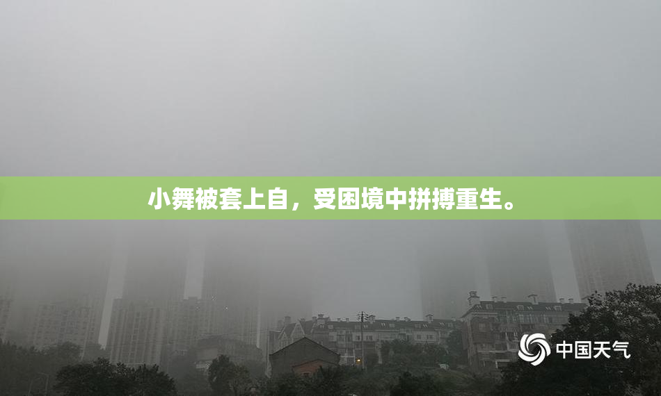 小舞被套上自，受困境中拼搏重生。