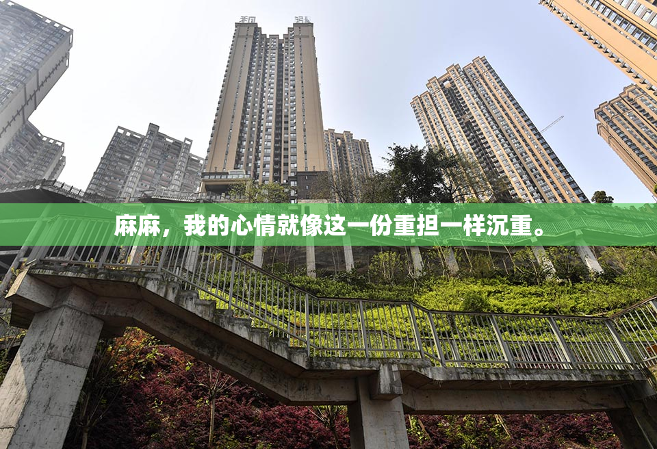 麻麻，我的心情就像这一份重担一样沉重。