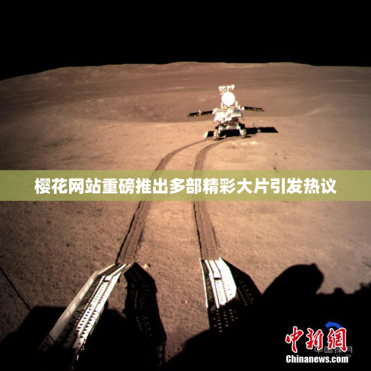 樱花网站重磅推出多部精彩大片引发热议