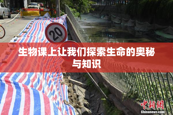 生物课上让我们探索生命的奥秘与知识