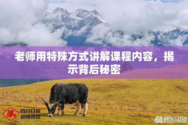 老师用特殊方式讲解课程内容，揭示背后秘密